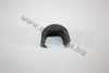 AUTOMEGA 304110197701 Stabiliser Mounting